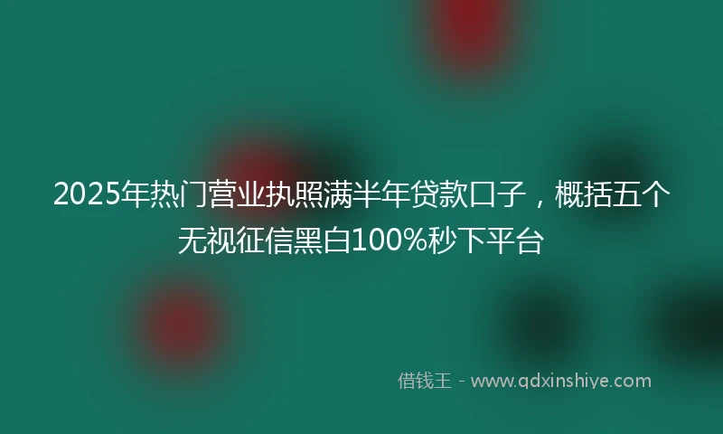2025年热门营业执照满半年贷款口子，概括五个无视征信黑白100%秒下平台