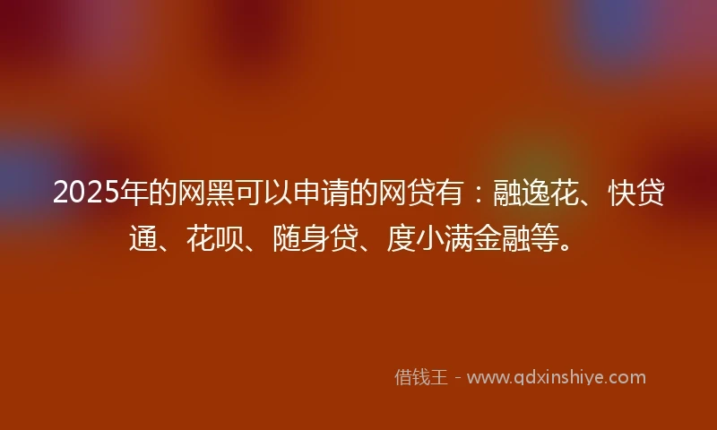 2025年的网黑可以申请的网贷有：融逸花、快贷通、花呗、随身贷、度小满金融等。
