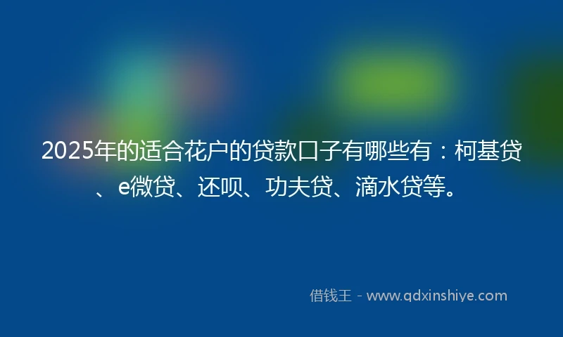 2025年的适合花户的贷款口子有哪些有：柯基贷、e微贷、还呗、功夫贷、滴水贷等。