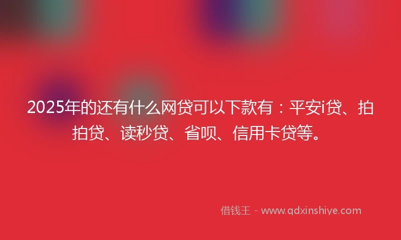 2025年的还有什么网贷可以下款有：平安i贷、拍拍贷、读秒贷、省呗、信用卡贷等。