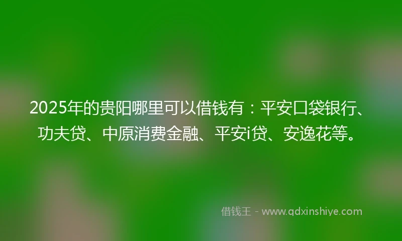 2025年的贵阳哪里可以借钱有：平安口袋银行、功夫贷、中原消费金融、平安i贷、安逸花等。