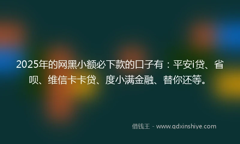 2025年的网黑小额必下款的口子有：平安i贷、省呗、维信卡卡贷、度小满金融、替你还等。