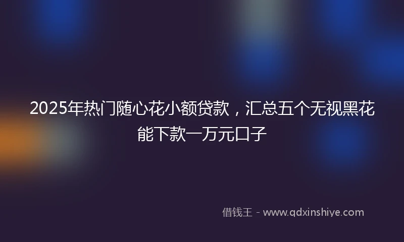 2025年热门随心花小额贷款，汇总五个无视黑花能下款一万元口子