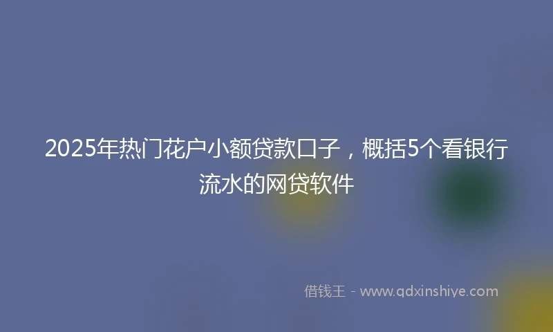 2025年热门花户小额贷款口子，概括5个看银行流水的网贷软件