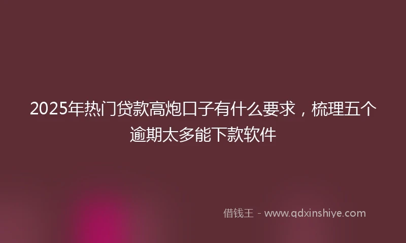 2025年热门贷款高炮口子有什么要求，梳理五个逾期太多能下款软件