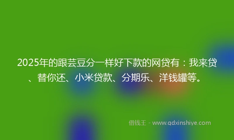 2025年的跟芸豆分一样好下款的网贷有：我来贷、替你还、小米贷款、分期乐、洋钱罐等。