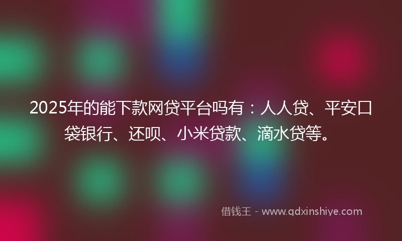 2025年的能下款网贷平台吗有：人人贷、平安口袋银行、还呗、小米贷款、滴水贷等。