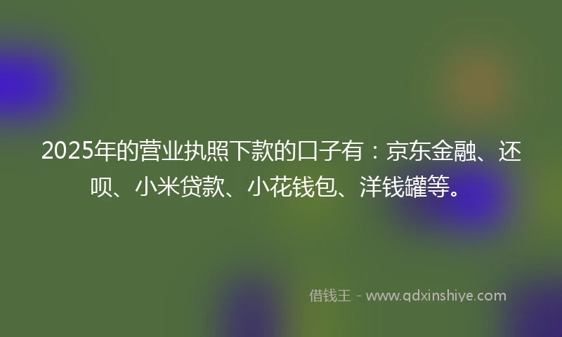 2025年的营业执照下款的口子有：京东金融、还呗、小米贷款、小花钱包、洋钱罐等。