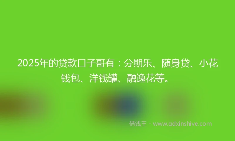 2025年的贷款口子哥有：分期乐、随身贷、小花钱包、洋钱罐、融逸花等。