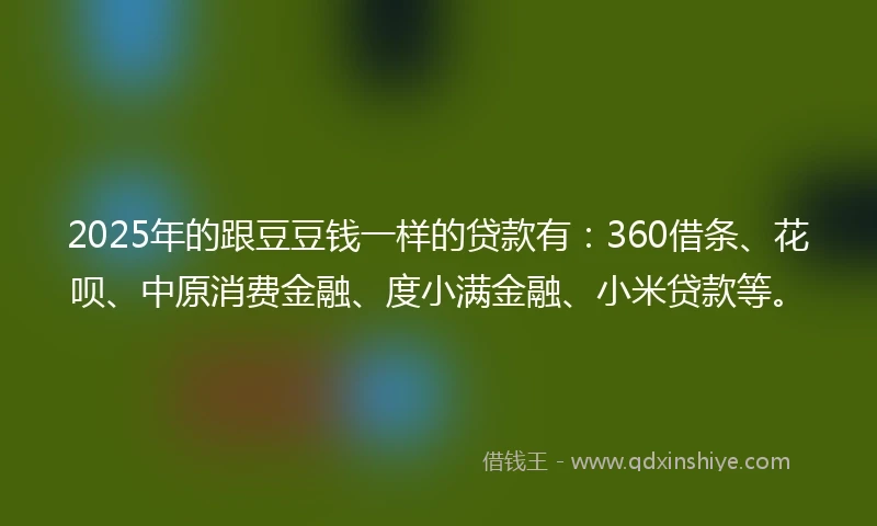 2025年的跟豆豆钱一样的贷款有：360借条、花呗、中原消费金融、度小满金融、小米贷款等。