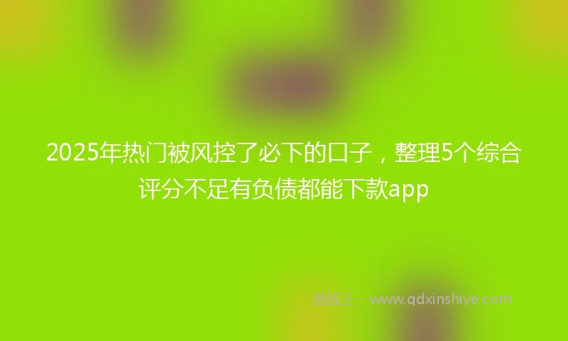 2025年热门被风控了必下的口子，整理5个综合评分不足有负债都能下款app