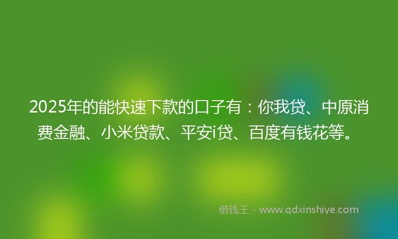 2025年的能快速下款的口子有：你我贷、中原消费金融、小米贷款、平安i贷、百度有钱花等。