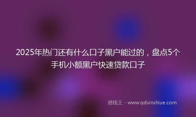 2025年热门还有什么口子黑户能过的，盘点5个手机小额黑户快速贷款口子