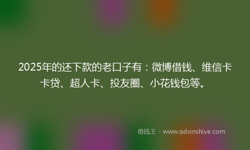 2025年的还下款的老口子有：微博借钱、维信卡卡贷、超人卡、投友圈、小花钱包等。