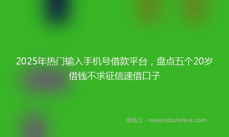 2025年热门输入手机号借款平台，盘点五个20岁借钱不求征信速借口子