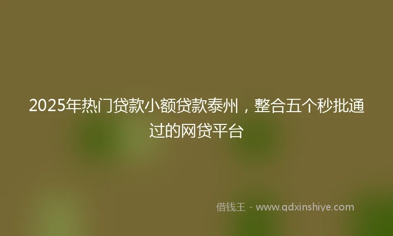 2025年热门贷款小额贷款泰州,整合五个秒批通过的网贷平台