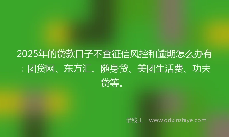 2025年的贷款口子不查征信风控和逾期怎么办有：团贷网、东方汇、随身贷、美团生活费、功夫贷等。