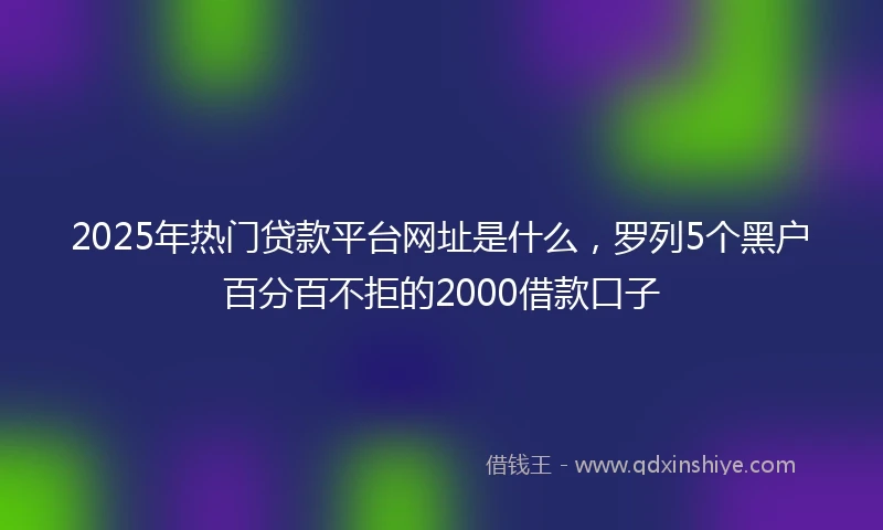 2025年热门贷款平台网址是什么，罗列5个黑户百分百不拒的2000借款口子