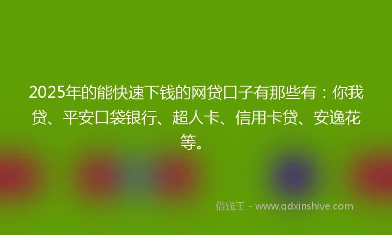 2025年的能快速下钱的网贷口子有那些有：你我贷、平安口袋银行、超人卡、信用卡贷、安逸花等。