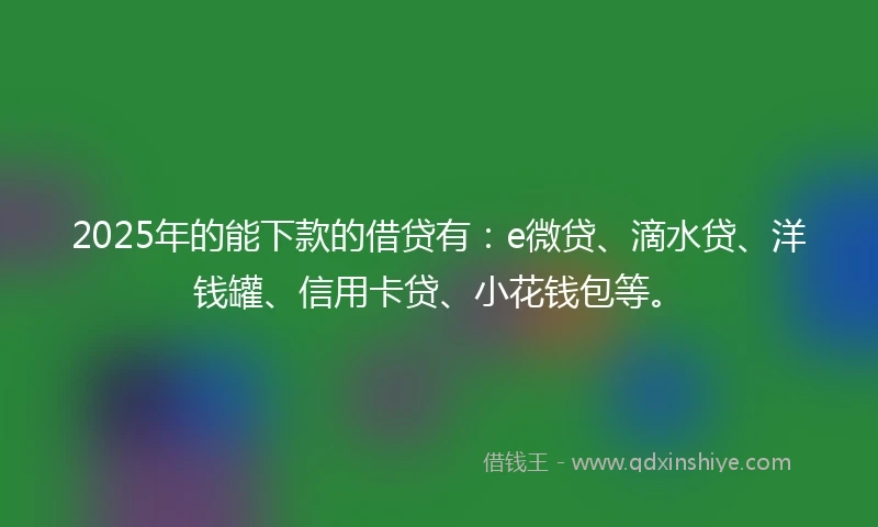 2025年的能下款的借贷有：e微贷、滴水贷、洋钱罐、信用卡贷、小花钱包等。