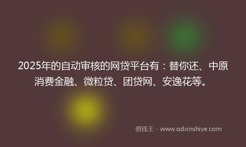 2025年的自动审核的网贷平台有：替你还、中原消费金融、微粒贷、团贷网、安逸花等。