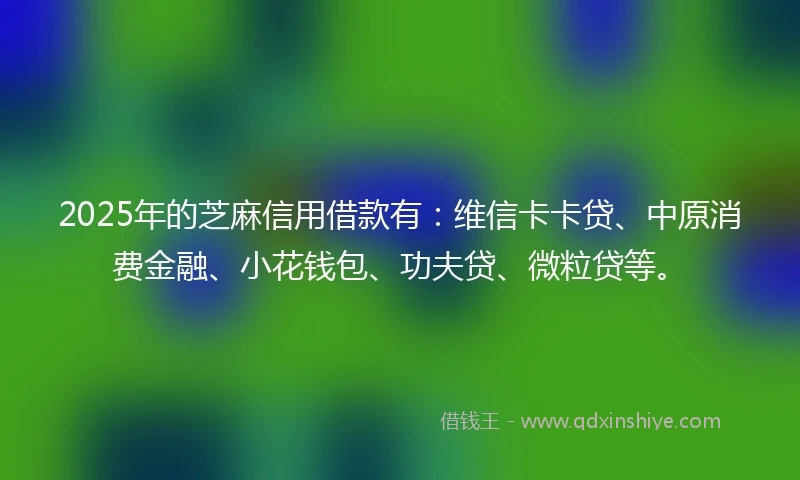 2025年的芝麻信用借款有：维信卡卡贷、中原消费金融、小花钱包、功夫贷、微粒贷等。