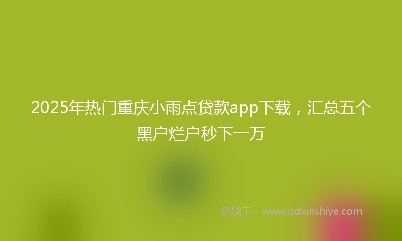 2025年热门重庆小雨点贷款app下载，汇总五个黑户烂户秒下一万