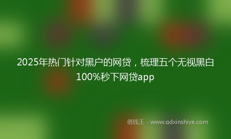 2025年热门针对黑户的网贷，梳理五个无视黑白100%秒下网贷app