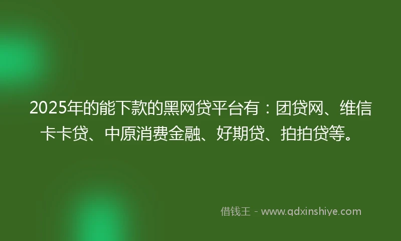 2025年的能下款的黑网贷平台有：团贷网、维信卡卡贷、中原消费金融、好期贷、拍拍贷等。