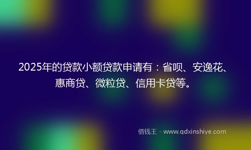 2025年的贷款小额贷款申请有：省呗、安逸花、惠商贷、微粒贷、信用卡贷等。