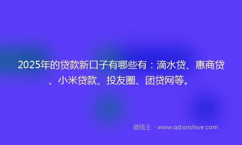 2025年的贷款新口子有哪些有：滴水贷、惠商贷、小米贷款、投友圈、团贷网等。