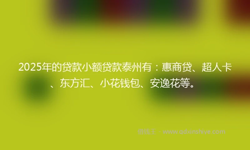 2025年的贷款小额贷款泰州有:惠商贷、超人卡、东方汇、小花钱包、安逸花等。