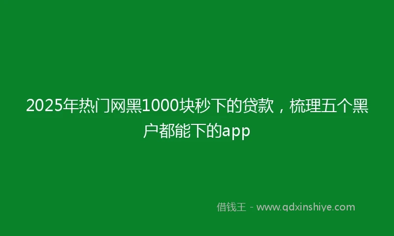 2025年热门网黑1000块秒下的贷款，梳理五个黑户都能下的app