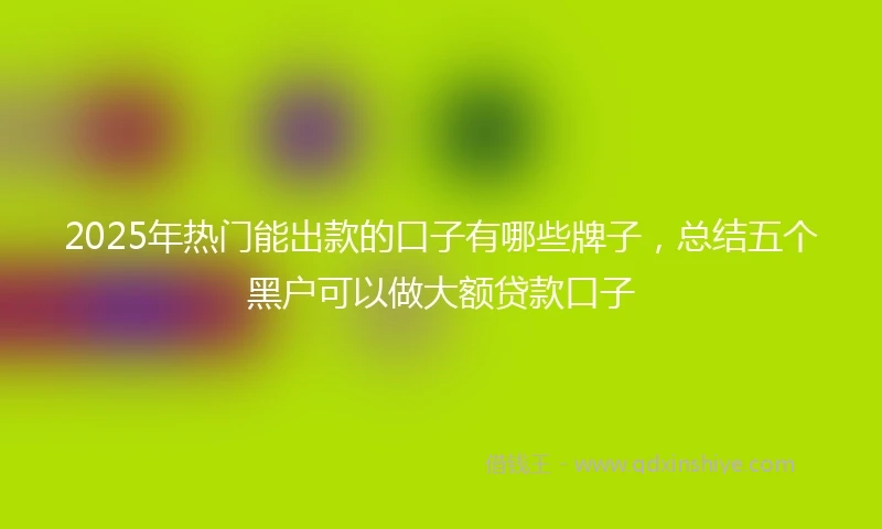 2025年热门能出款的口子有哪些牌子，总结五个黑户可以做大额贷款口子