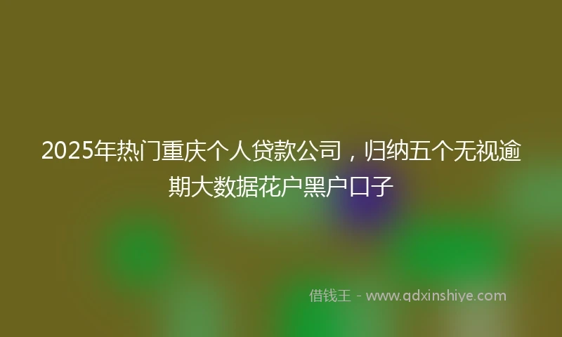 2025年热门重庆个人贷款公司，归纳五个无视逾期大数据花户黑户口子