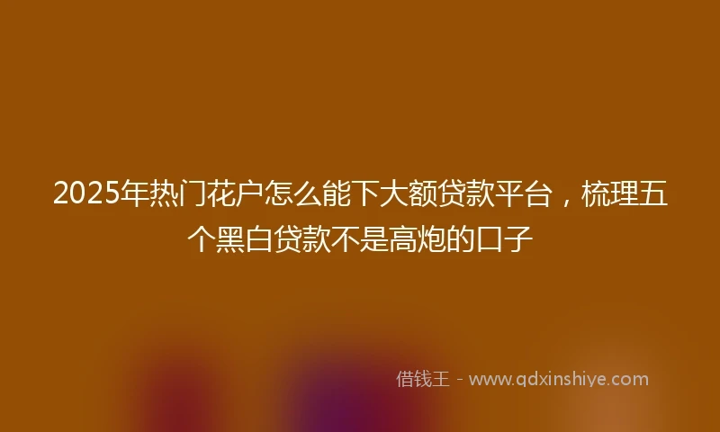 2025年热门花户怎么能下大额贷款平台，梳理五个黑白贷款不是高炮的口子