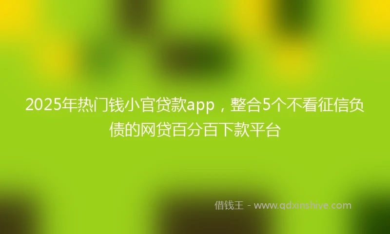2025年热门钱小官贷款app,整合5个不看征信负债的网贷百分百下款平台