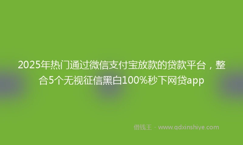 2025年热门通过微信支付宝放款的贷款平台，整合5个无视征信黑白100%秒下网贷app