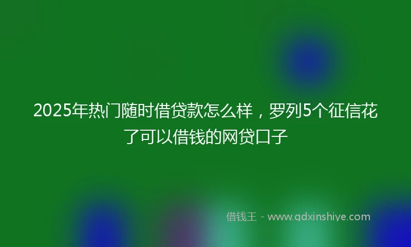 2025年热门随时借贷款怎么样，罗列5个征信花了可以借钱的网贷口子
