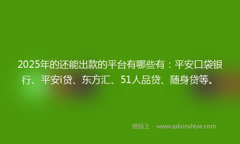 2025年的还能出款的平台有哪些有：平安口袋银行、平安i贷、东方汇、51人品贷、随身贷等。