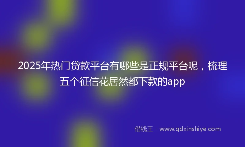 2025年热门贷款平台有哪些是正规平台呢，梳理五个征信花居然都下款的app