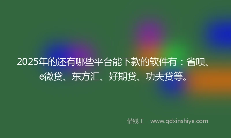 2025年的还有哪些平台能下款的软件有：省呗、e微贷、东方汇、好期贷、功夫贷等。