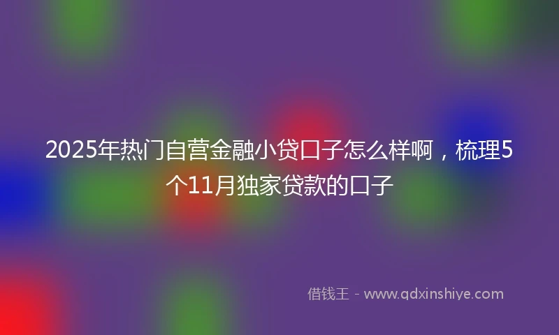 2025年热门自营金融小贷口子怎么样啊，梳理5个11月独家贷款的口子
