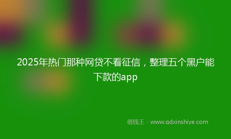 2025年热门那种网贷不看征信，整理五个黑户能下款的app