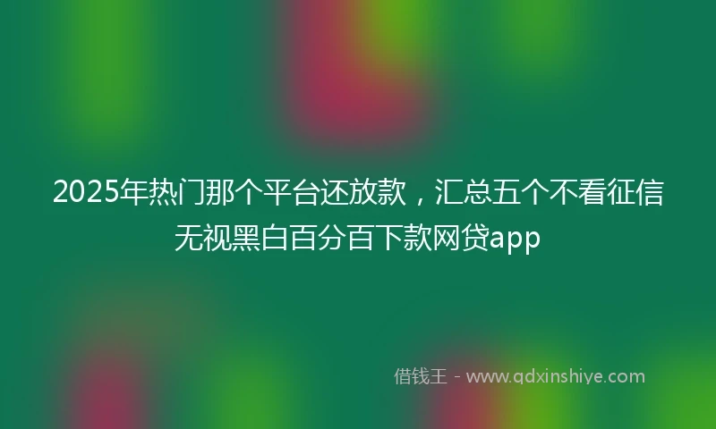 2025年热门那个平台还放款，汇总五个不看征信无视黑白百分百下款网贷app