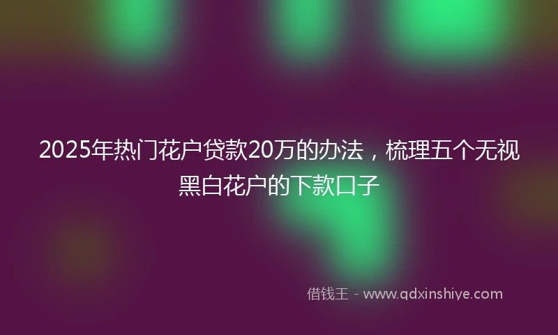 2025年热门花户贷款20万的办法，梳理五个无视黑白花户的下款口子