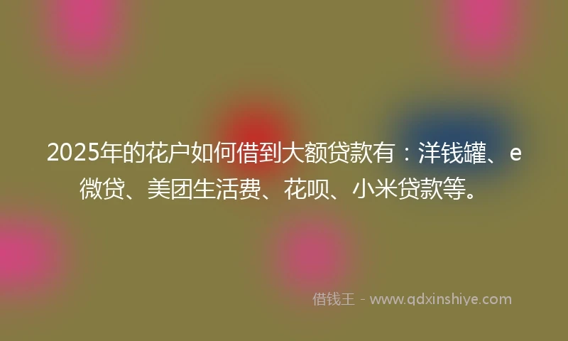 2025年的花户如何借到大额贷款有：洋钱罐、e微贷、美团生活费、花呗、小米贷款等。