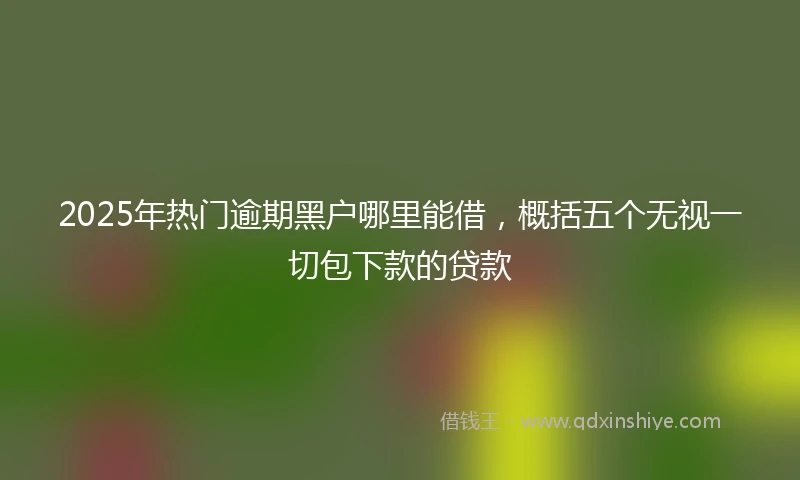 2025年热门逾期黑户哪里能借，概括五个无视一切包下款的贷款
