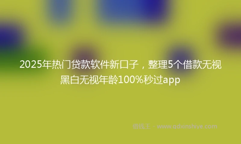 2025年热门贷款软件新口子，整理5个借款无视黑白无视年龄100%秒过app