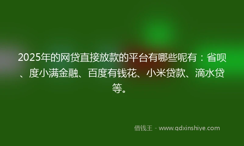2025年的网贷直接放款的平台有哪些呢有：省呗、度小满金融、百度有钱花、小米贷款、滴水贷等。